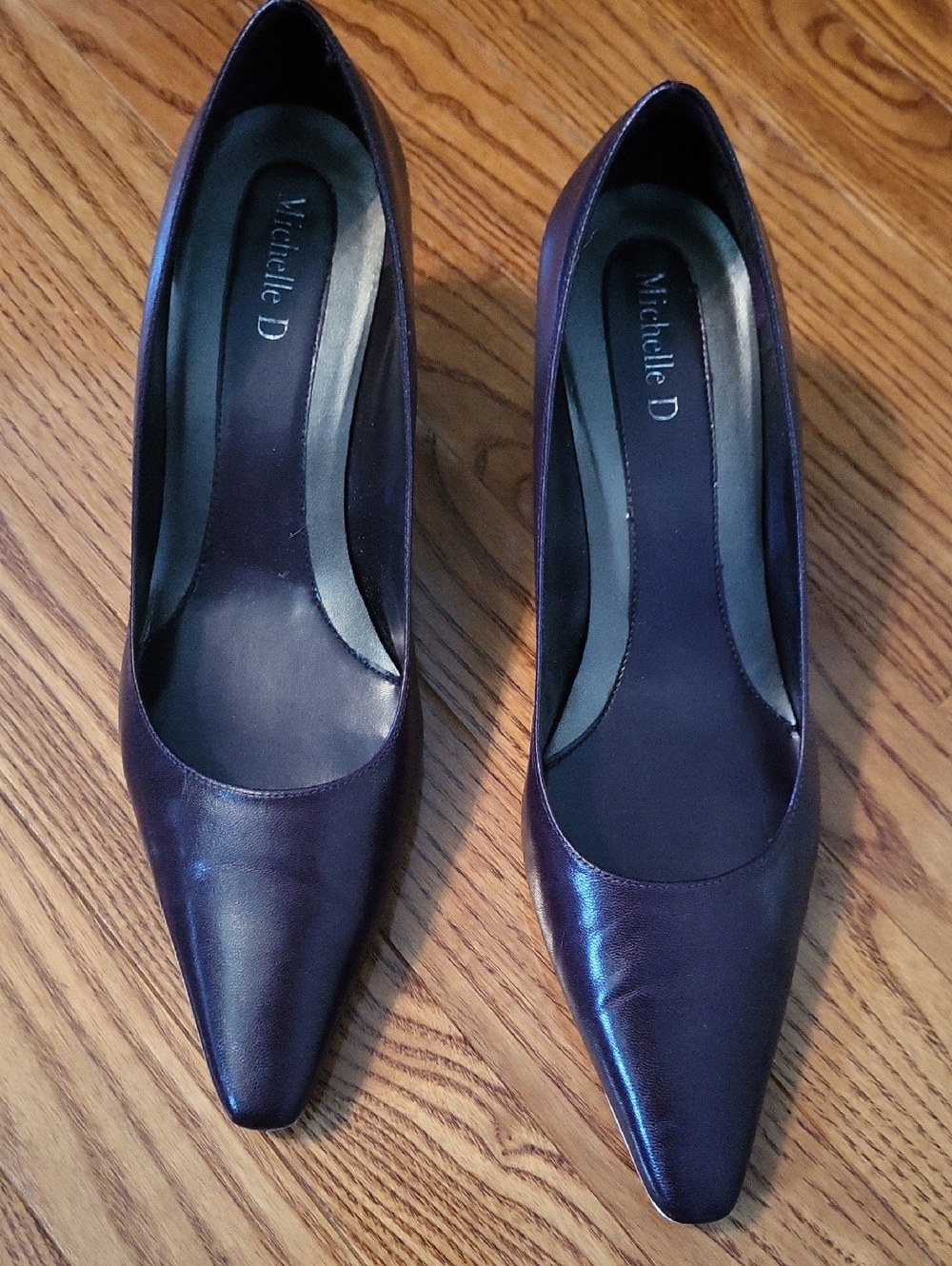 Michelle D Women's Pointed-Toe Pumps in Plum